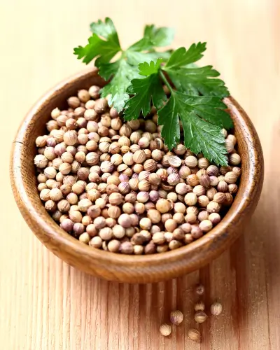 coriander seeds whole lar group